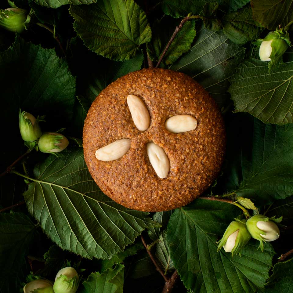 Pfeffer & Frost Lebkuchendose Ollie Silvester – Süsses